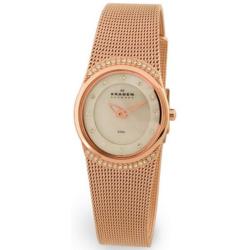 Skagen Women's Crystal Accented Mesh Watch