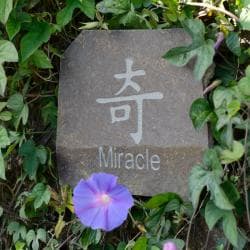 Volcanic Slate 'Miracle' Symbol Engraved Stone (Indonesia)