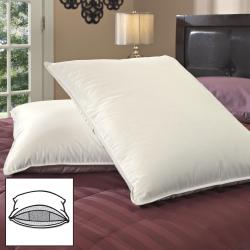 Famous Maker Lasting Support Triple Chamber Feather and Down Queen-size Pillows (Set of 2)