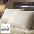 Famous Maker White Goose Triple Chamber Pillows (Set of 2)