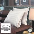 Famous Maker Triple Chamber 600 Fill Power Down Microfeather Pillows with Luxury 500 TC Protective Cover (Set of 2)