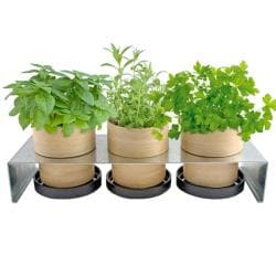 Bamboo Grow Pot Rack