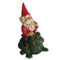 Michael Carr Garrold Gnome On Toad