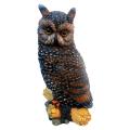 Michael Carr Owl Medium