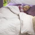 Luxury-size All Seasons 300 Thread Count Down Comforter
