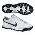 Nike Men's Air Anthem White/ Black Golf Shoes