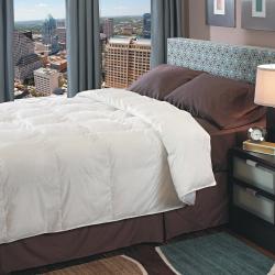 Radiance 700 Thread Count Oversized Down Alternative Comforter