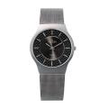 Skagen Denmark Men's Titanium Watch
