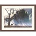 Terry Isaac 'Yosemite Dawn' Framed Art Print