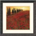 Steve Thoms 'Poppies' Framed Art Print