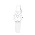 Skagen Denmark Women's White Glitz Crystal Watch