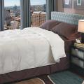 Radiance Luxury Down Alternative 680 Thread Count Full/Queen-size Comforter