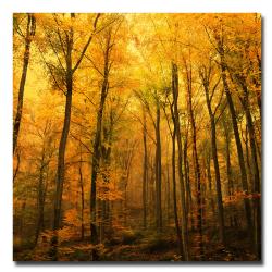 Philippe Sainte-Laudy 'Big Dreamers Never Sleep' Canvas Art