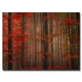 Philippe Sainte-Laudy 'Enchanting Red' Canvas Art