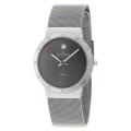 Skagen Men's Titanium Mesh Watch