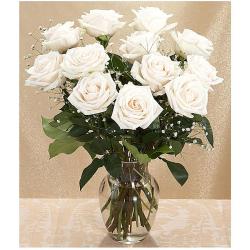 (Valentine's Day Pre-order) Bouquet of Long Stemmed White Roses (One Dozen)