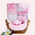 Sweet Baby Girl Gift Basket