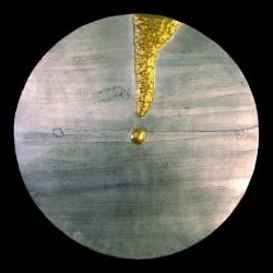 Alex Pagulayan Drop Disc Hand Washed Copperleaf Wall Art (Philippines)