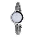 Skagen Women's Mesh Stainless Steel Watch