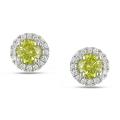 18k White Gold 1/2ct TDW Yellow and White Diamond Earrings (G-H, SI1-2)