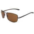 US Polo Association Mens 'Accomplice' Brown Metal Polarized Square Aviator Sunglasses