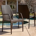 Christopher Knight Home Canoga Outdoor Wicker Chairs (Set of 2)