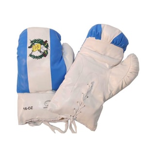 Defender 16oz Guatemala Flag Boxing Gloves-Image