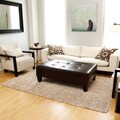 Modern EcoShag Ecru Rug (8' x 10')