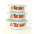 Tropical Apple Steel and Enamel Mixing Storage Bowls (Set of 3)