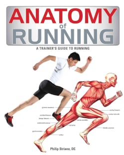 Anatomy of Running: A Trainer's Guide to Running (Paperback)