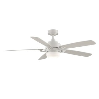 Ceiling Fan With Light