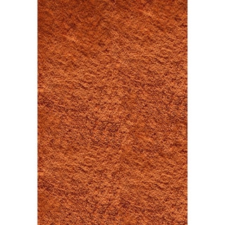 Hand-tufted Posh Orange Shag Rug (5' x 7')