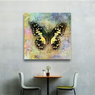 Art Wall Elena Ray 'Butterfly' Gallery-wrapped Canvas