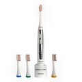 Panasonic Sonic Vibration Rechargeable Toothbrush with Four Brush Heads