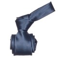 Republic Men's Blue Dotted Microfiber Neck Tie