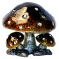 Cristiani Mushroom Trinket Box (Pack of 6)