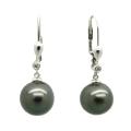 D'sire 10k Gold Black Tahitian Pearl and Diamond Accent Earrings (9-10 mm)