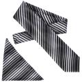 Boston Traveler Men's Diagonal Stripe Microfiber Tie and Hanky Set