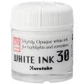 Zig Cartoonist White Pen Ink