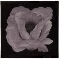 Hand Tufted Purple Flower Art Wool Rug (5' x 5')