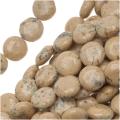Latte Jasper 9mm Disc Beads Tan Beige/15.5-inch Strand