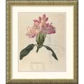 Charles Rennie Mackintosh 'Rhododendron, 1915' Framed Art Print
