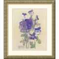 Charles Rennie Mackintosh 'Wild Pansy' Framed Art Print