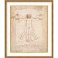 Leonardo da Vinci 'Proportions of the Human Figure (Vitruvian Man)' Framed Art Print