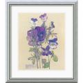 Charles Rennie Mackintosh 'Wild Pansy' Framed Art Print