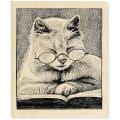 Stampendous 'V-Cattus Librum' Mounted Rubber Stamp