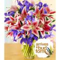 Mother's Day Spectacular with Ginger Vase