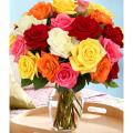 (Mother's Day Preorder) Two Dozen Rainbow Roses with Large Vase