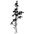 Art Impressions Wilderness Series Mountain Pine Clear Rubber Cling Stamp