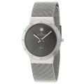 Skagen Men's 'Titanium' Titanium Quartz Watch